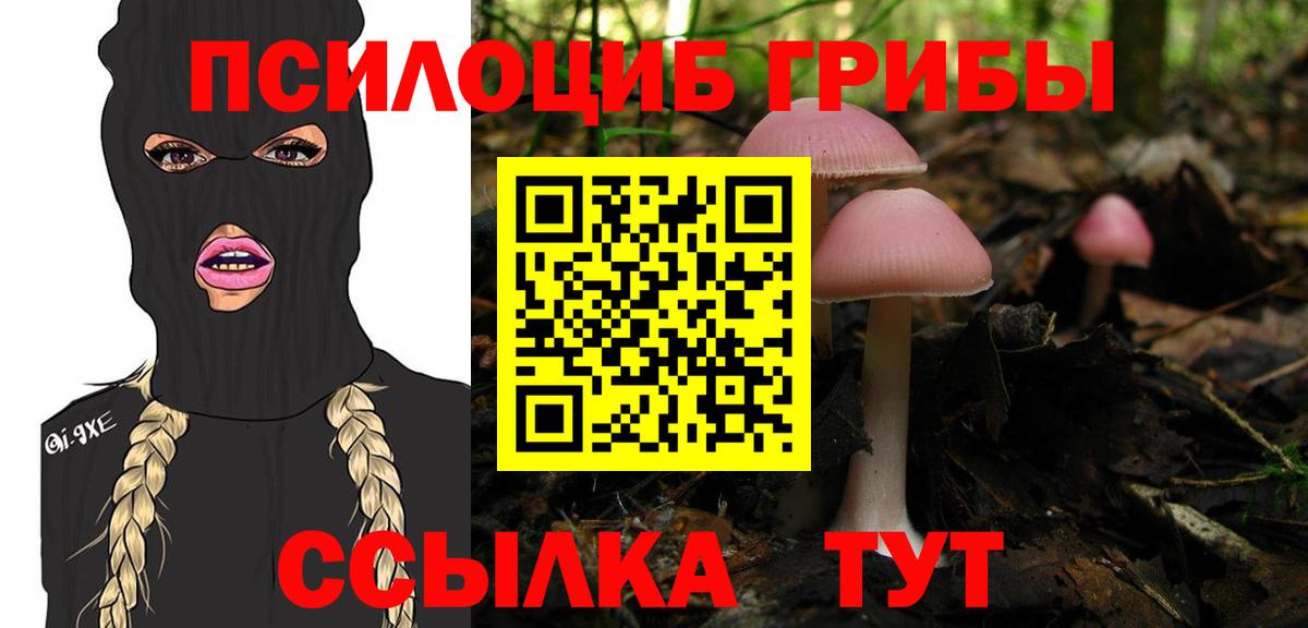 Псилоцибиновые грибы GOLDEN TEACHER  даркнет сайт  Вход с VPN  Новосибирск  Псилоцибиновые грибы ЛСД 